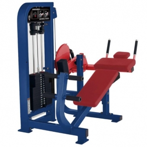 Abdominal Crunch