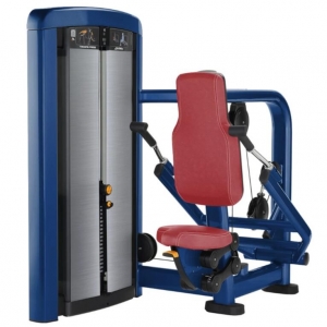 china GYM FITNESS INSIGNIA SERIES TRICEPS PRESS
