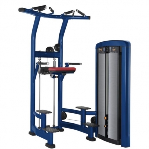 CHINA GYM FITNESS INSIGNIA SERIES ASSIST DIP CHIN