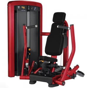 china gym Fitness Insignia Series Chest Press 