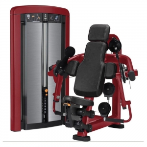 CHINA FITNESS GYM EQUIPMENT INSIGNIA SERIES BICEPS CURL