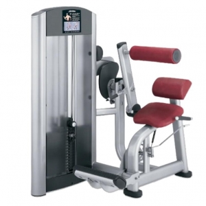 china gym Fitness Signature Series  Back Extension