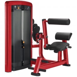 china commercial gym equipment  Fitness Insignia Series Back Extension