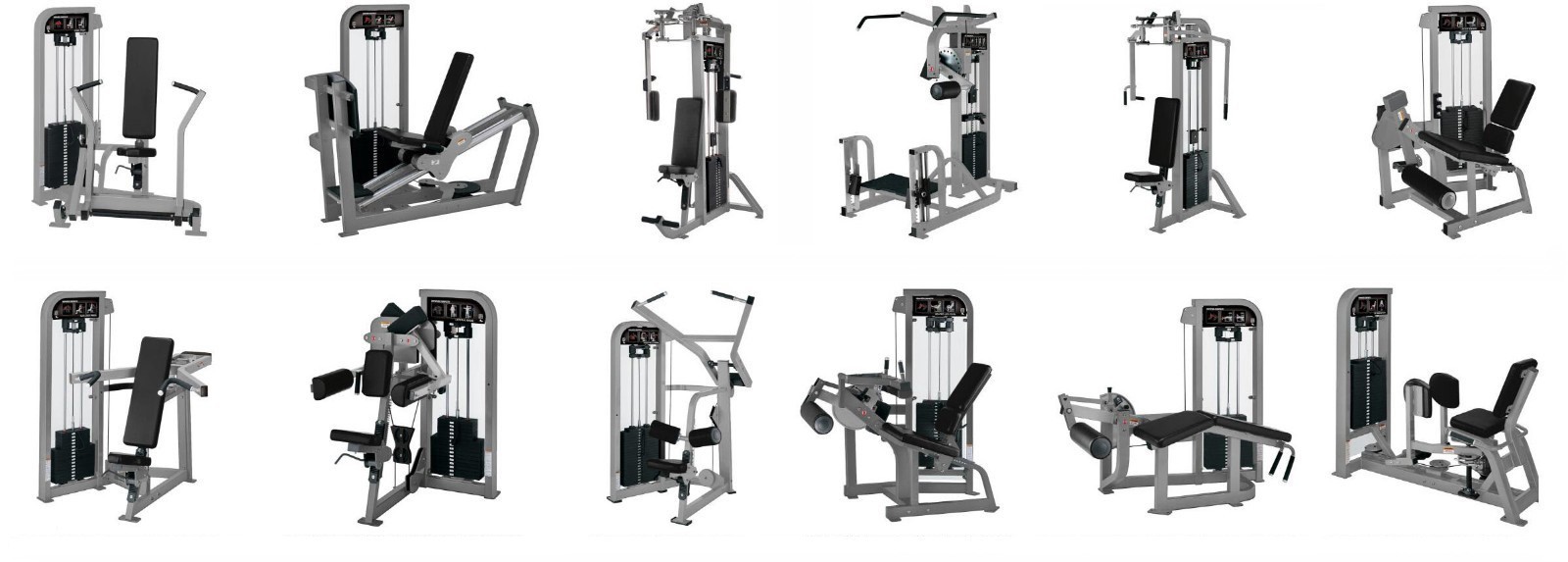 HAMMER FITNESS- SCT