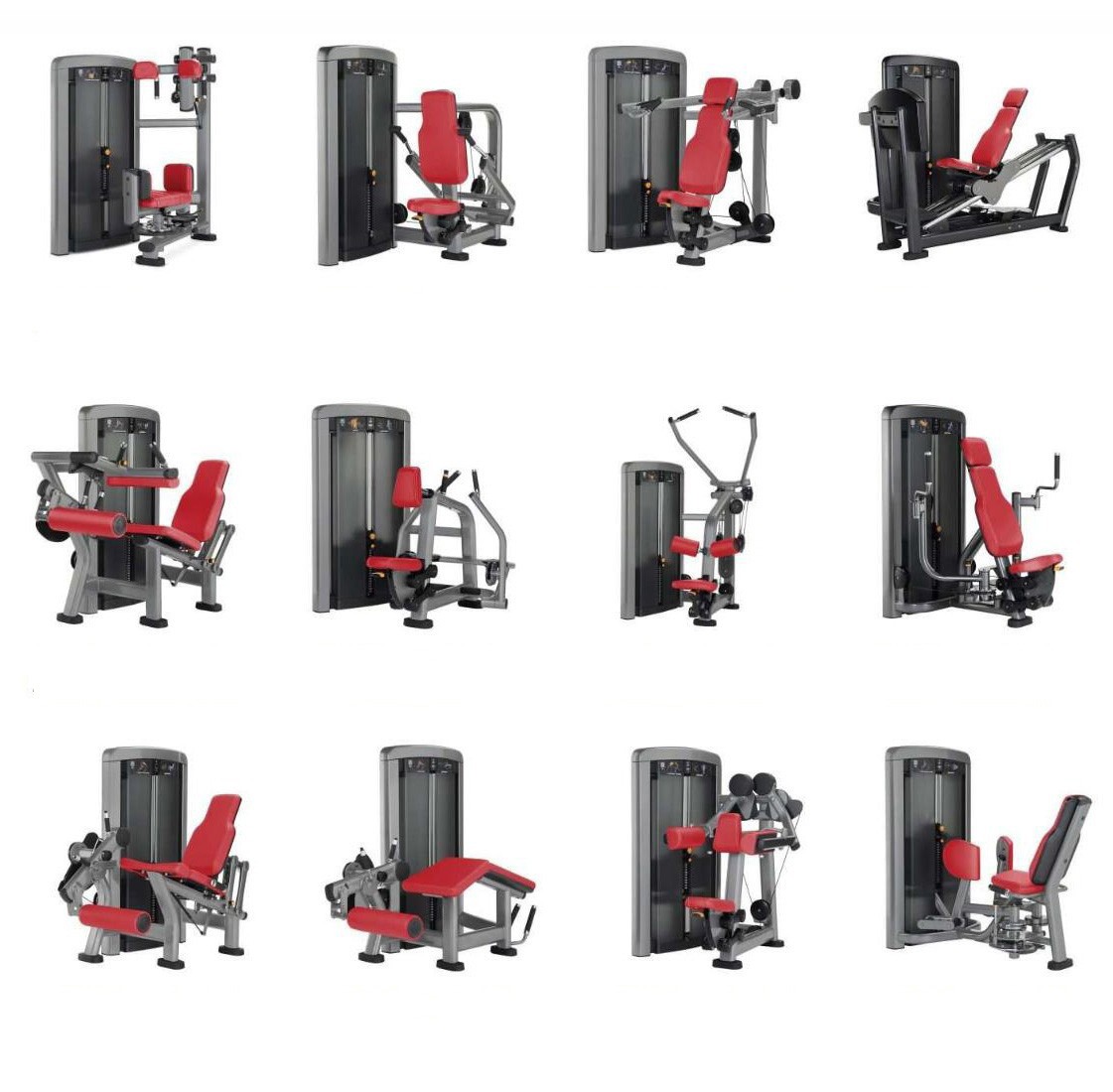 GYM FITNESS-Insignia