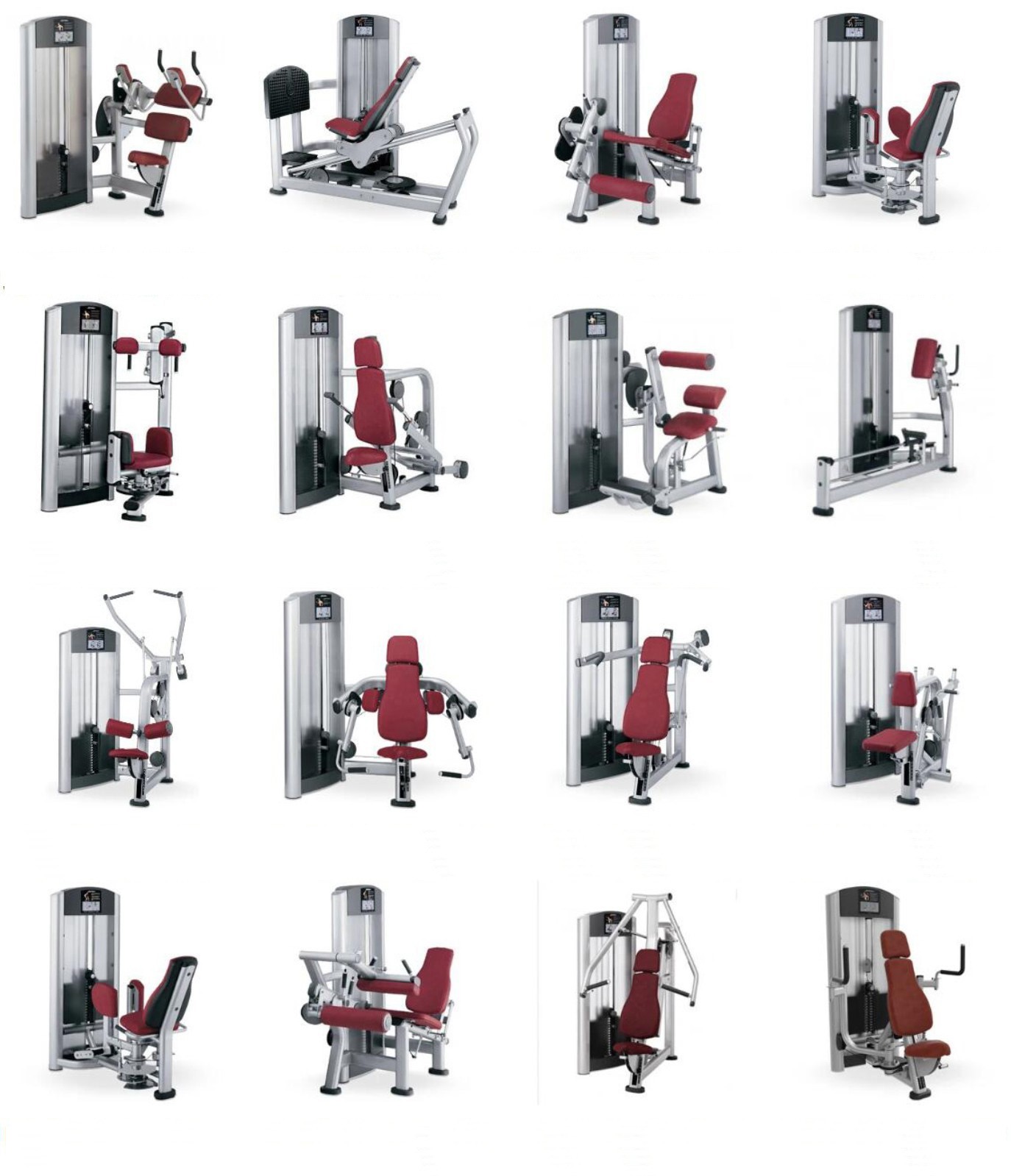 GYM FITNESS- Signature 