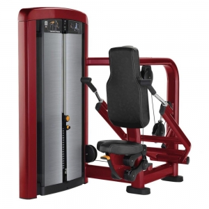 CHINA GYM FITNESS MACHINE INSIGNIA SERIES TRICEPS PRESS