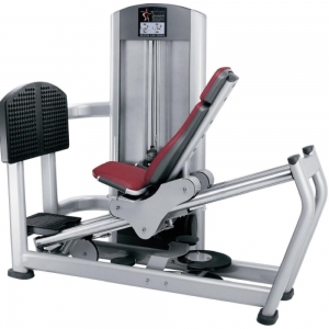 chinese gym Fitness Signature Seated Leg Press
