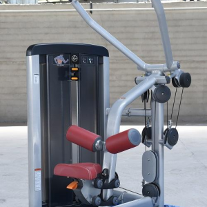 china gym fitness strength equipment INSIGNIA SERIES PULLDOWN
