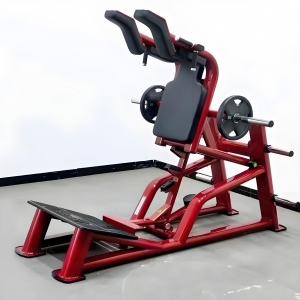 china LIFE GYM FITNESS equipment plate loaded hack squat machine