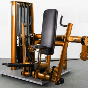 china gym equipment chest press