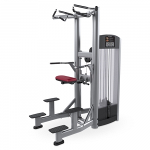 china like fitness Signature Series Assisted Chin Dip