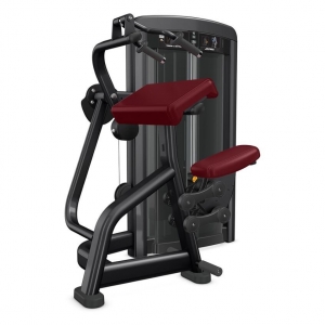 china like fitness gym equipment INSIGNIA SERIES TRICEPS EXTENSION