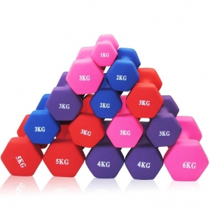 china Neoprene Coated Dumbbells for Commercial Home Exercise, Pilates, Gym, Cardio, Dumbbell Weights Set in 1-10kg Pairs