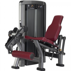 china life top gyms fitness equipment Insignia Series Leg Extension Machine