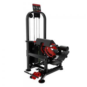 china maxpump exercise gyms equipment Hip Extension equipment