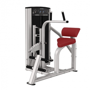 china Life Fitness  Abdominal / Back Extension strength equipment