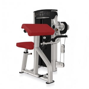 china life fitness gym equipment Biceps Triceps strength machine