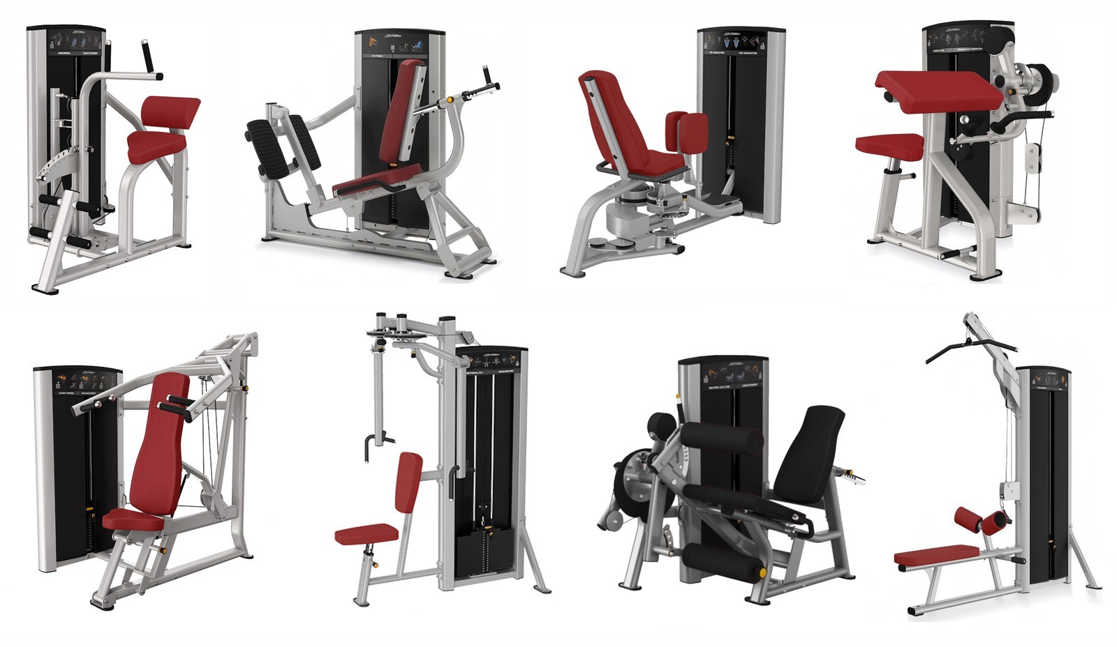 Life Fitness  combo