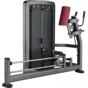 china  Life Fitness Insignia Series Glute Machine 