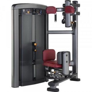 china Life Fitness equipment Insignia Series Torso Rotation Machine
