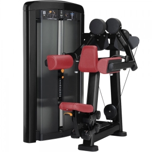 china Lifee Fitness machine Insignia Series Lateral Raise bodybuilding equipment
