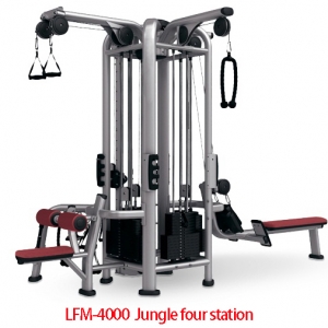 Jungle Four Station
