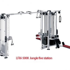 Jungle Five Station